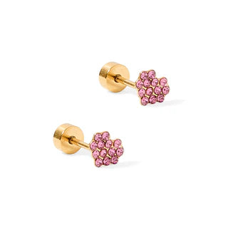 Linny Co Screw Back Stud Earrings