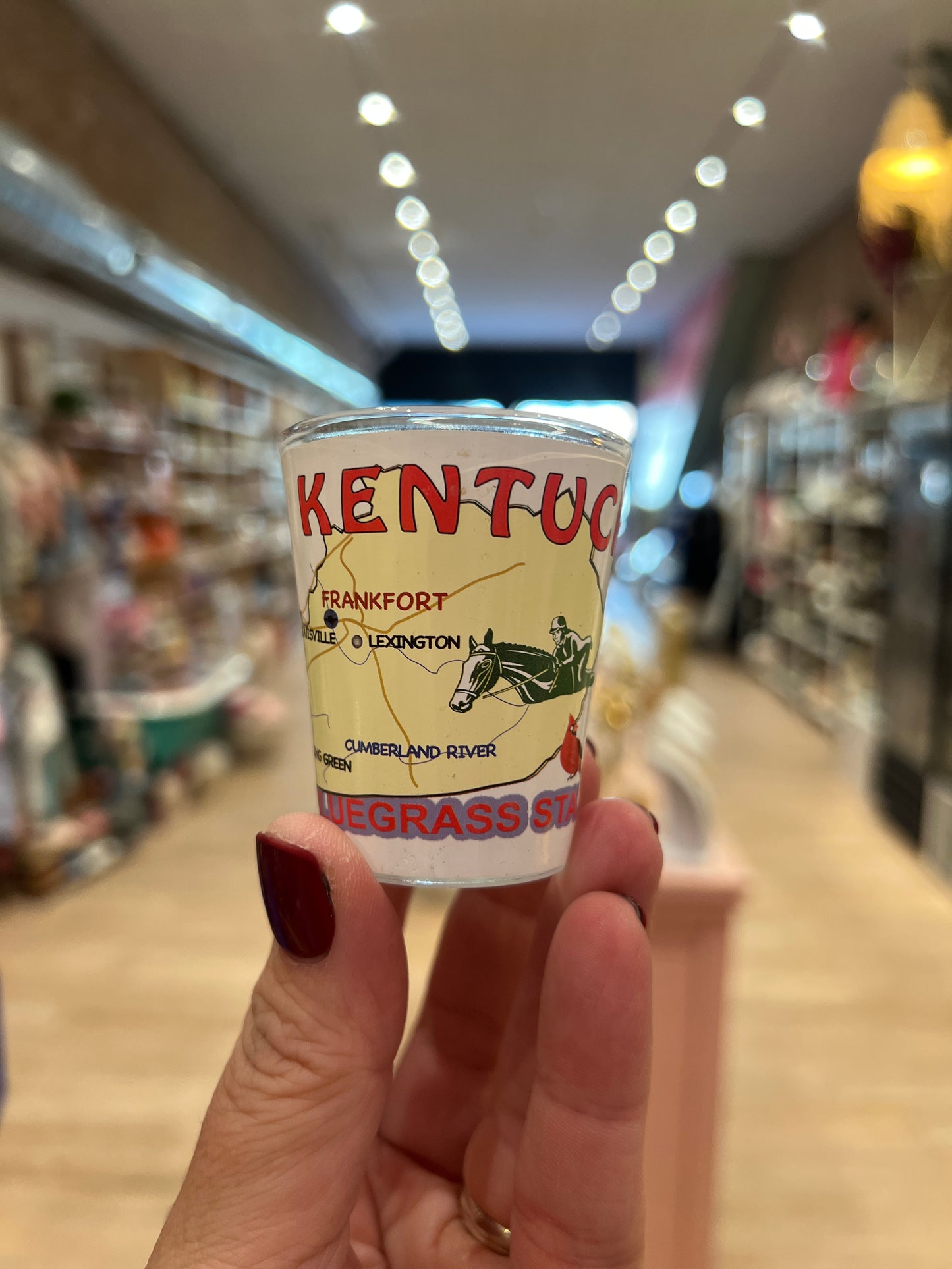 7 Star Kentucky Merch