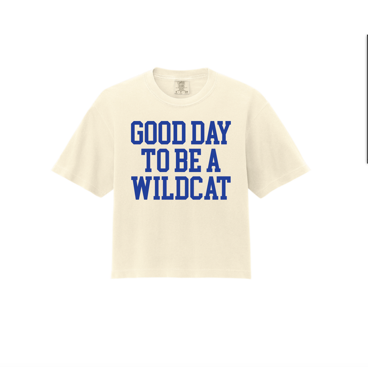 Good Day To Be A Wildcat Mascot Crop Top