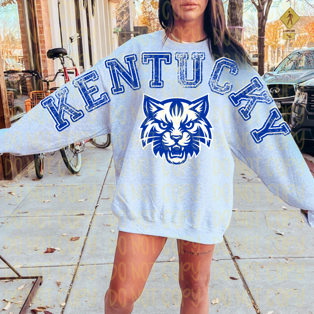 Kentucky Everyday Sweatshirt: Large