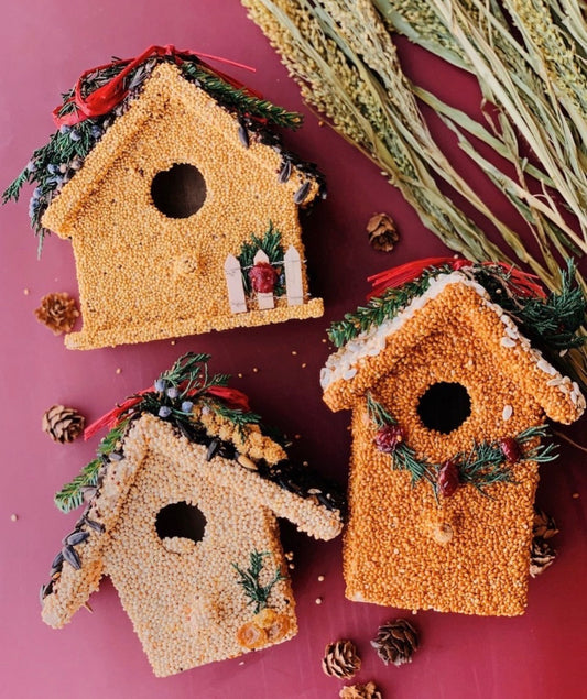 Mr. Bird Birdhouse