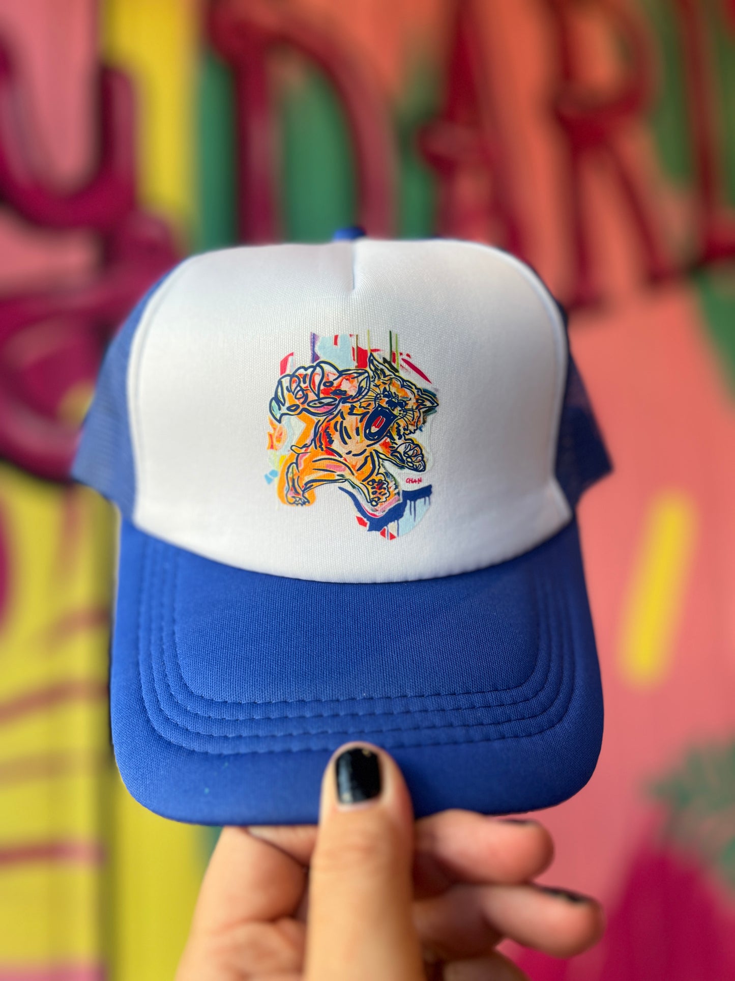 Kentucky Wildcat Doodle Hat