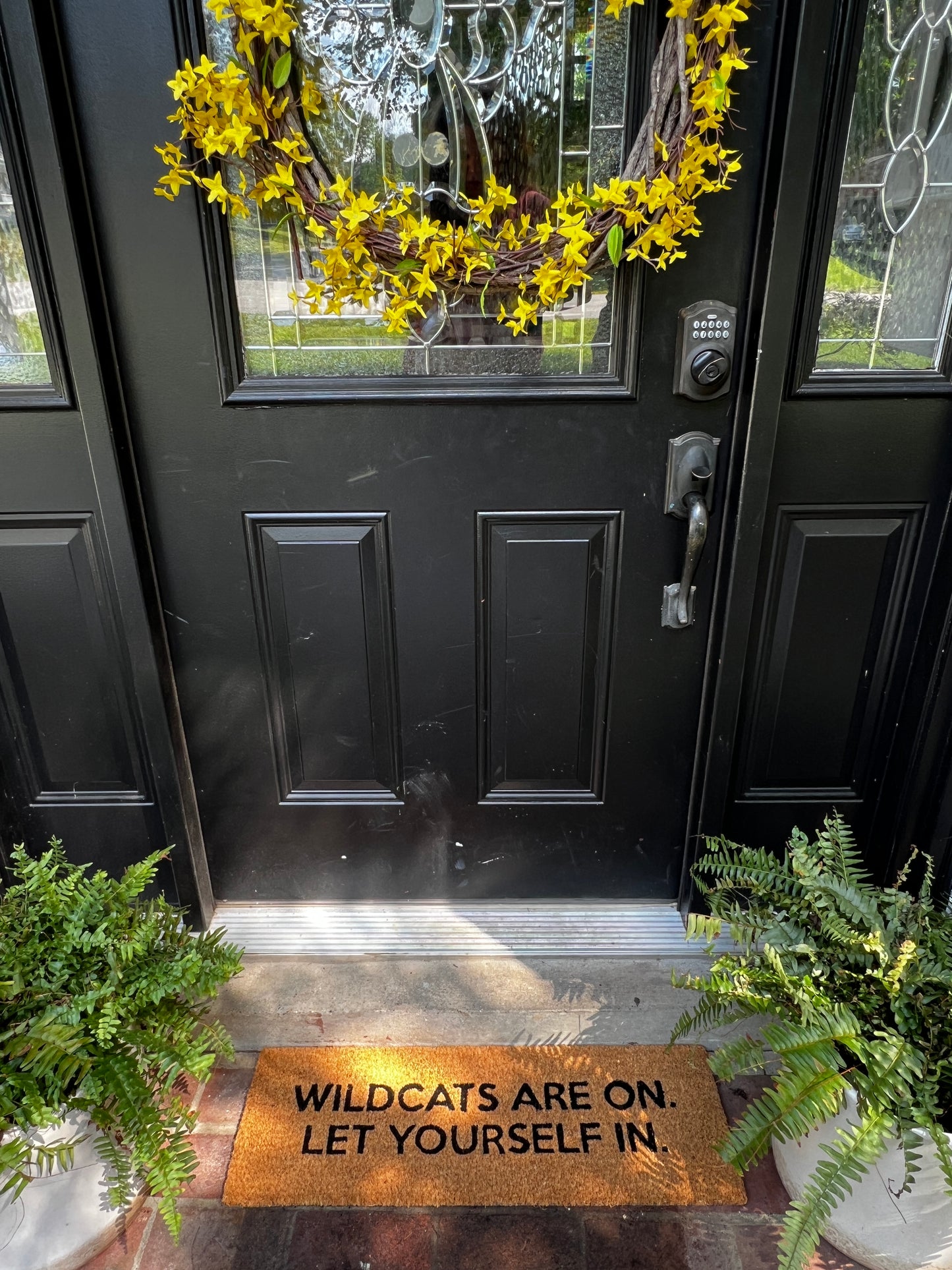 Wildcats Doormat